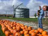 Click to see toddpumpkins.jpg