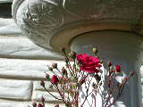 Click to see 1239.jpg